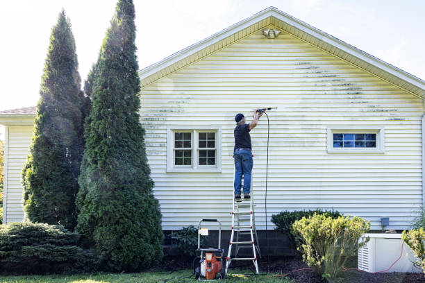 Best Roof Cleaning and Mildew Removal in Arlington, GA